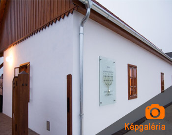 Intezmenyi holokauszt