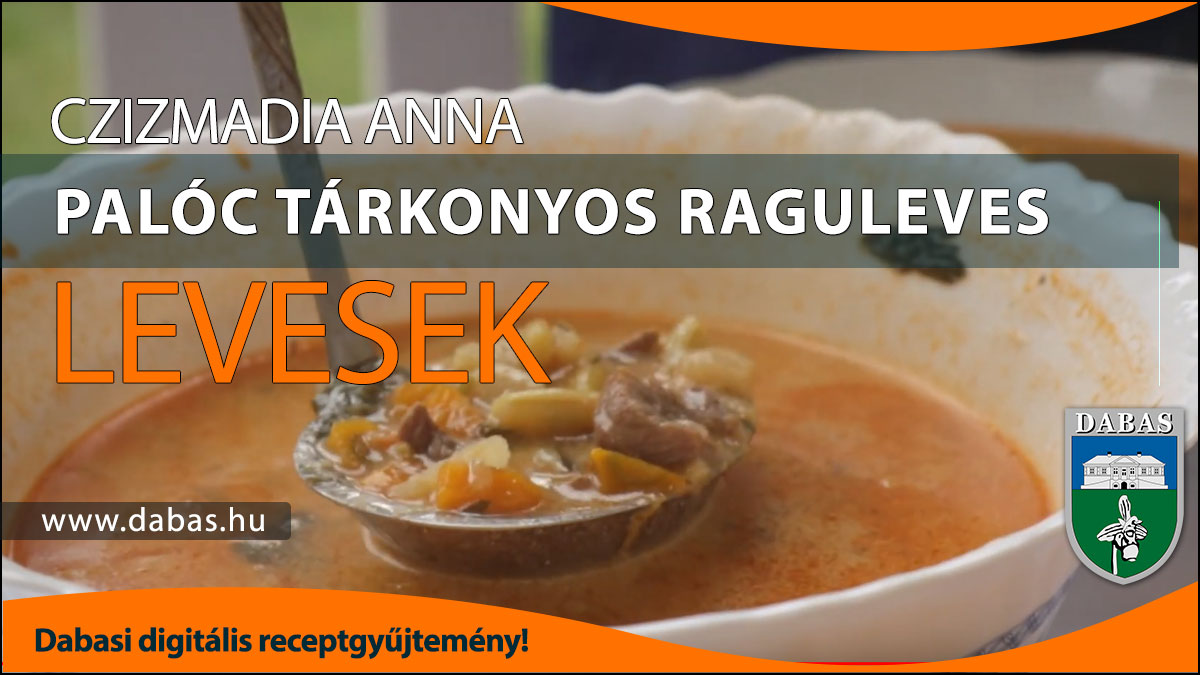 Czizmadia Anna - Palóc tárkonyos raguleves