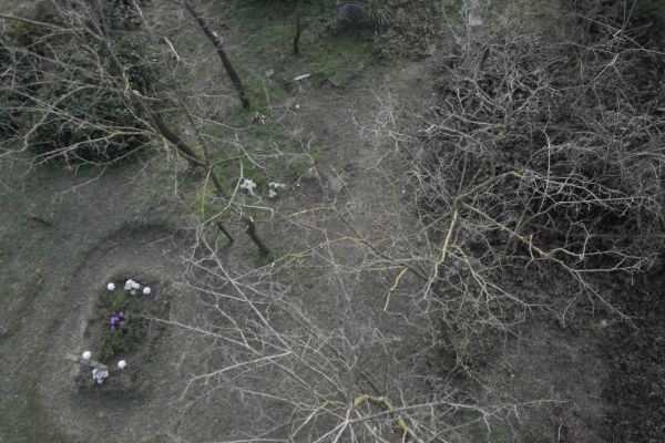 image-tomor0336631c71c-5394-4830-1778-ee63d32e369d0212219F-A07C-9DEC-33E3-3B688A51BEDD.jpg