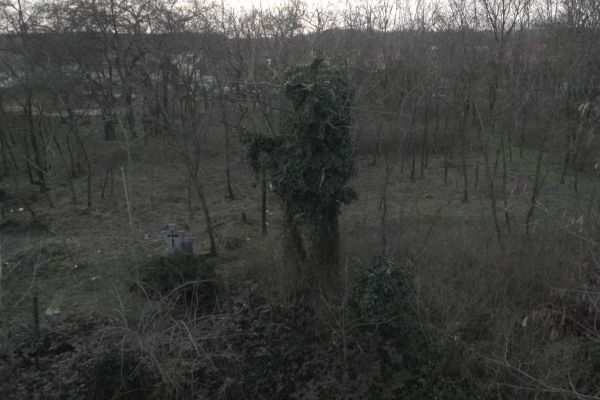 image-tomor074bdab5a19-47eb-188a-da18-644e7ab5c84f98F7489F-140B-796C-888A-5BB574E5E215.jpg
