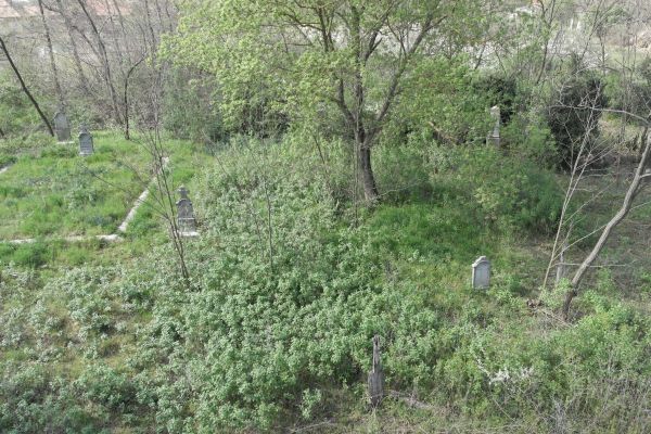 image-tomor191665f2c93-5738-00d9-8900-d02598e4a0cf3C189A4C-5338-6F2F-1873-780C4A4BC700.jpg