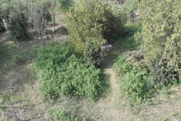 image-tomor2057c2e5095-fab2-794a-508f-b4b5a61b6e5cEA43415D-9DC7-136E-0691-08CE01891372.jpg
