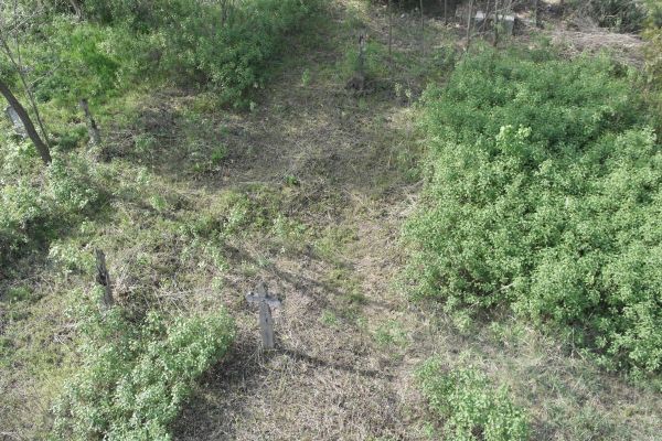 image-tomor234b201ae6e-45f0-0b68-0355-0aae3d42b7be69001258-2077-0064-120B-2E9FC8643FF3.jpg