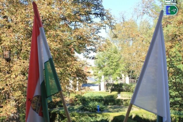 Halász Móricz-kúria Közösségi Színtér