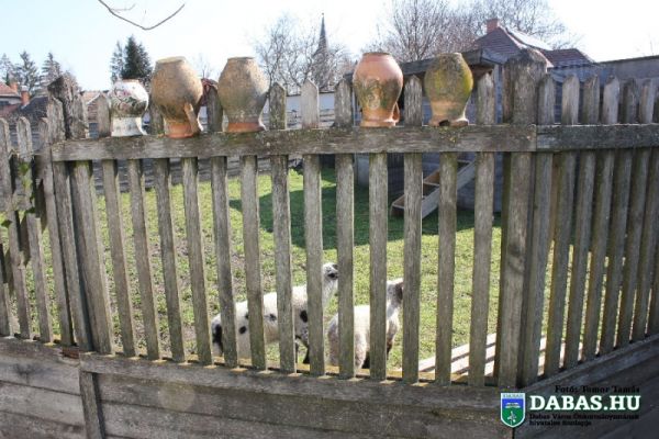 Levendulaház Közösségi Színtér-és Értéktár