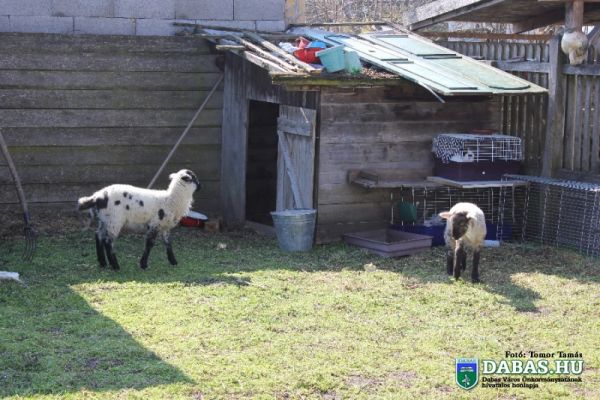 Levendulaház Közösségi Színtér-és Értéktár