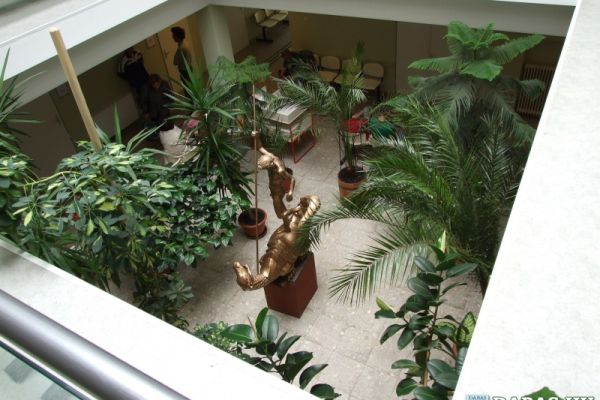 Dr. Halász Géza Szakorvosi Rendelőintézet