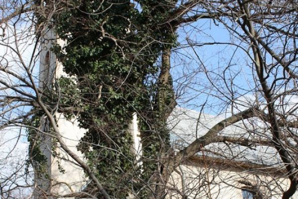 Gyóni Evangélikus Egyházközség temploma