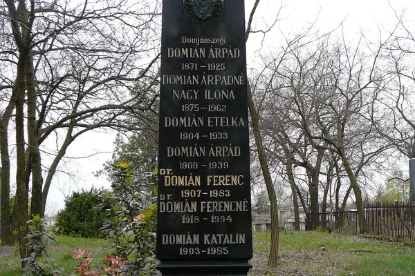 Dr. Domián Ferenc szerepe a Dabasi járás 1956-os forradalmában