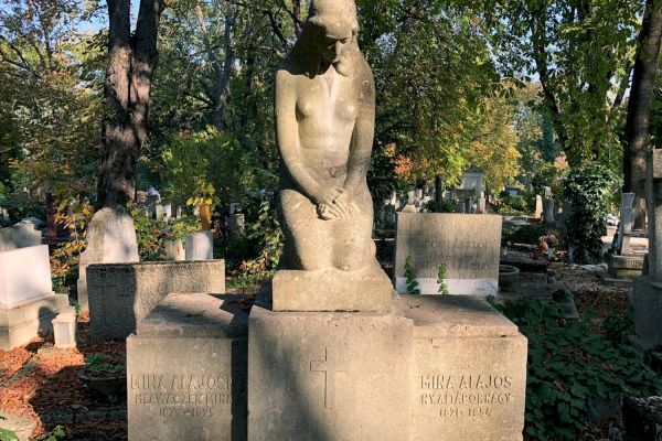 Mina Alajos altábornagy életútjának felsődabasi vonatkozásai