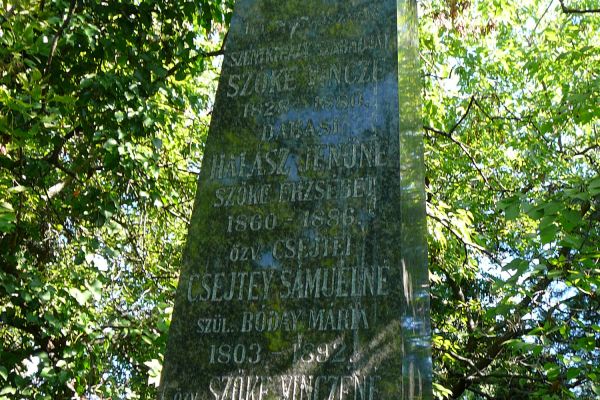 Szentkirályszabadjai Szőke Vince 184849-es honvédszázados életútjának dabasi vonatkozásai