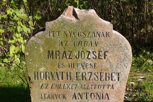 Mráz Albert 1848/49-es honvéd hadnagy életútjának dabasi vonatkozásai