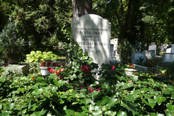 Az első magyar színes játékfilm Pest-megyei forgatása