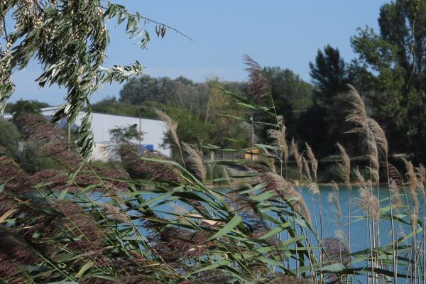 A tó és környéke