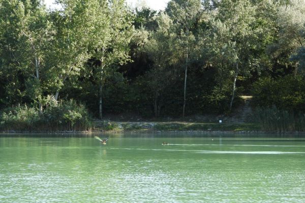 A tó és környéke