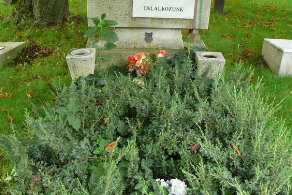 Harmincz István (1928-1957) síremléke