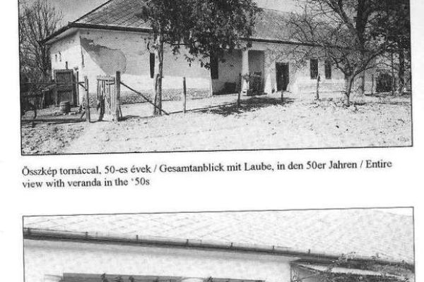 Metelka Ferenc patikaalapító tevékenysége