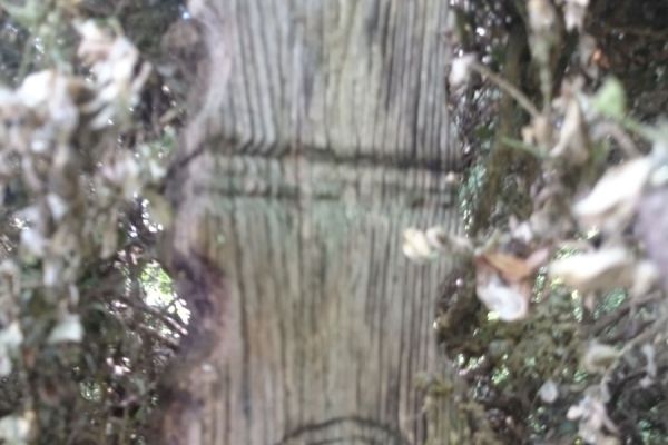 A Felsődabasi öregtemető