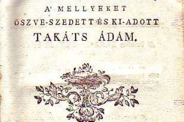 Takács Ádám műfordítói és egyházi írói tevékenysége