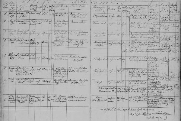 Szívós Zsigmond esküvője 1873