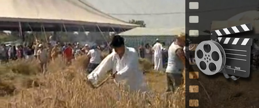 Ismét arattak a sári hagyományőrző csoportok 