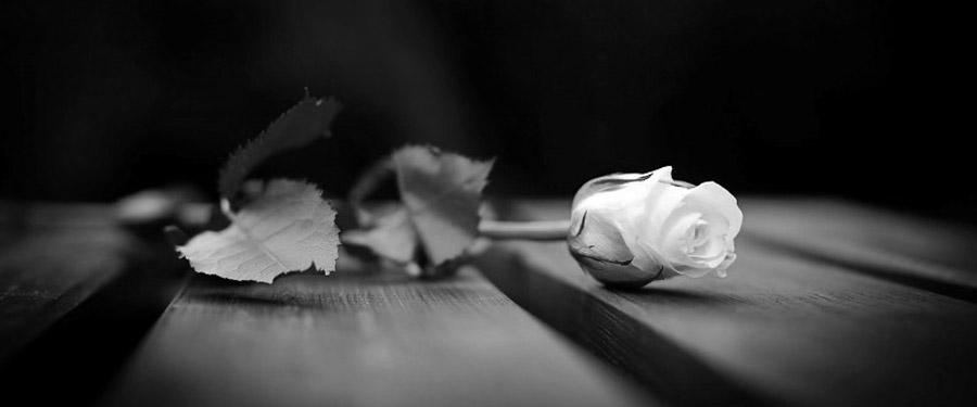 Elhunyt Bábel Balázsné, sz. Karlik Julianna