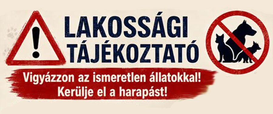 Járási tisztifőorvos tájékoztatója