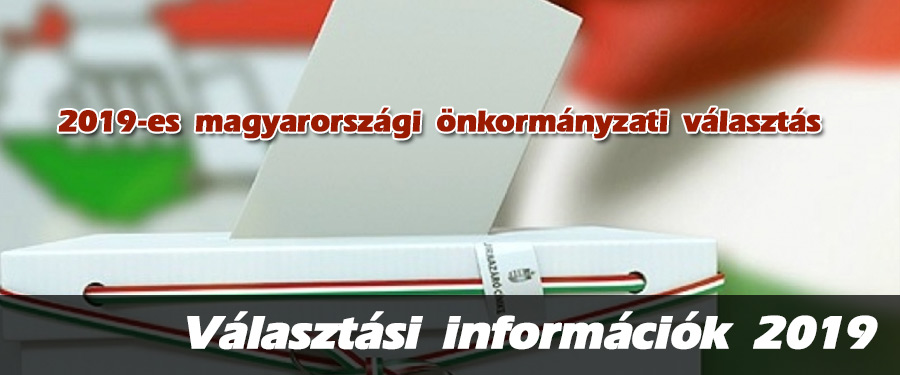 1/2019. (II.06) sz. HVI vezetői határozat