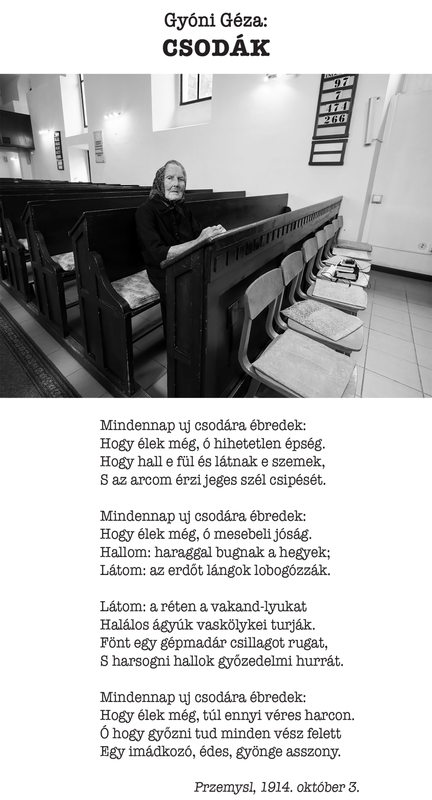 GYG Csodak