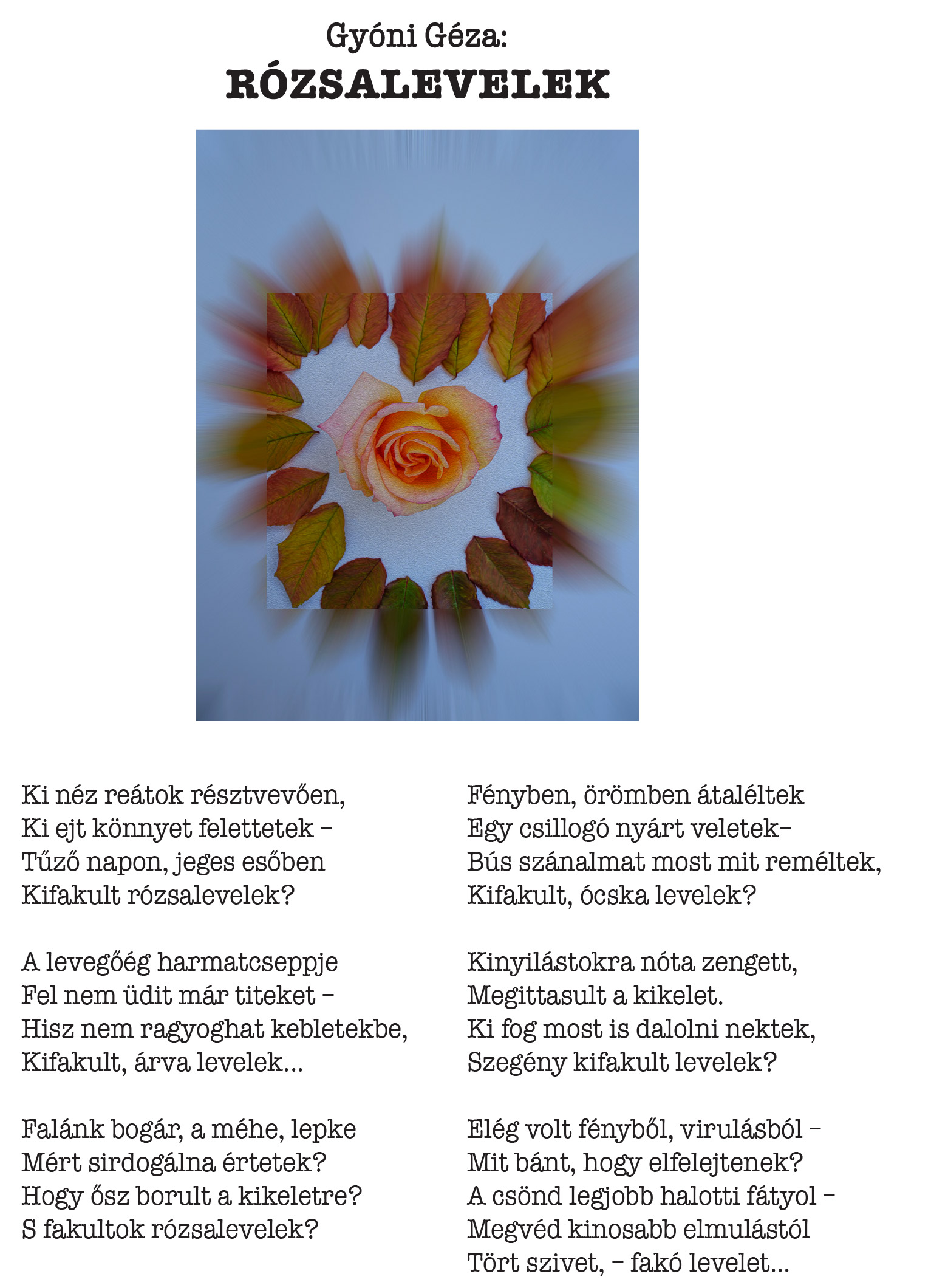 GYG Rozsalevelek