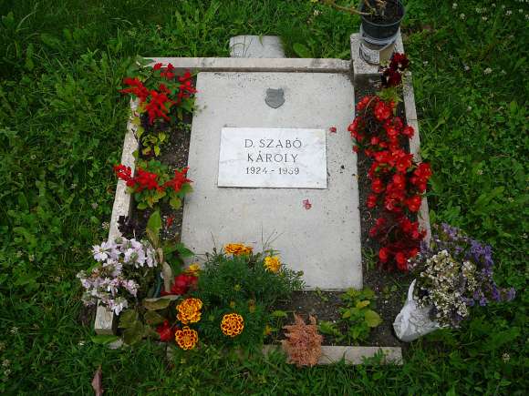 d szabo karoly02